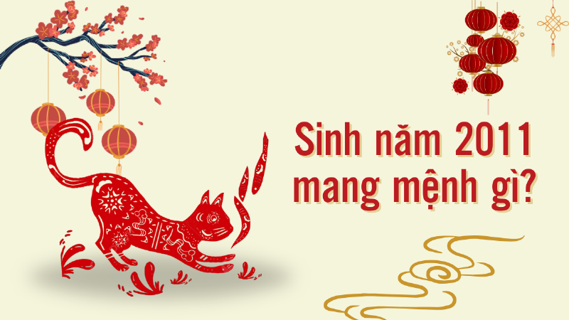 Hinh anh mo ta cac cau hoi thuong gap ve menh va mau sac cua nu sinh 2011, the hien su giai dap ro rang